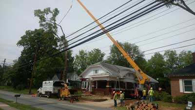 Local Tree Services, Lake Norman, NC | Top Notch Tree Service