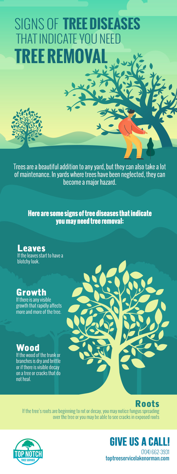 Signs of Tree Diseases That Indicate You Need Tree Removal | Top Notch ...