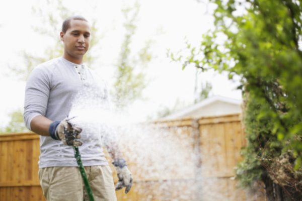 A Step-by-Step Guide to Spring Tree | Top Notch Tree Service