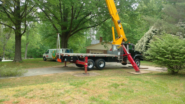 Tree Care Tips, Cornelius, NC | Top Notch Tree Service
