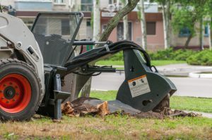 you might consider stump grinding