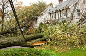 we offer storm damage cleanup