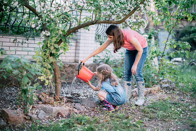 Spring Tree Care Tips | Top Notch Tree Service