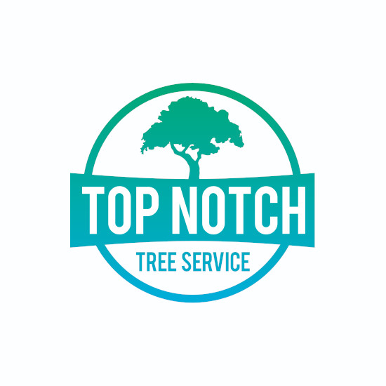 Top Notch Tree Service