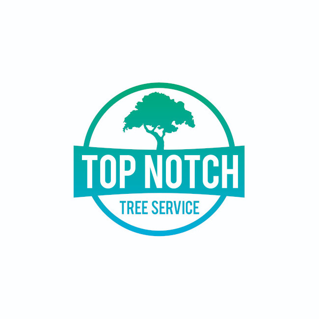 Top-Quality Tree Services Lake Norman | Top Notch Tree Service